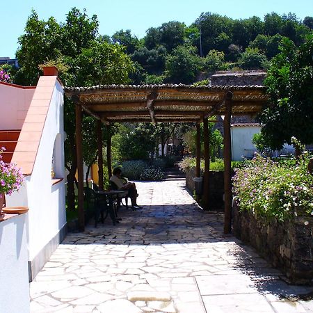 Hotel La Marticana Ischia Exteriör bild