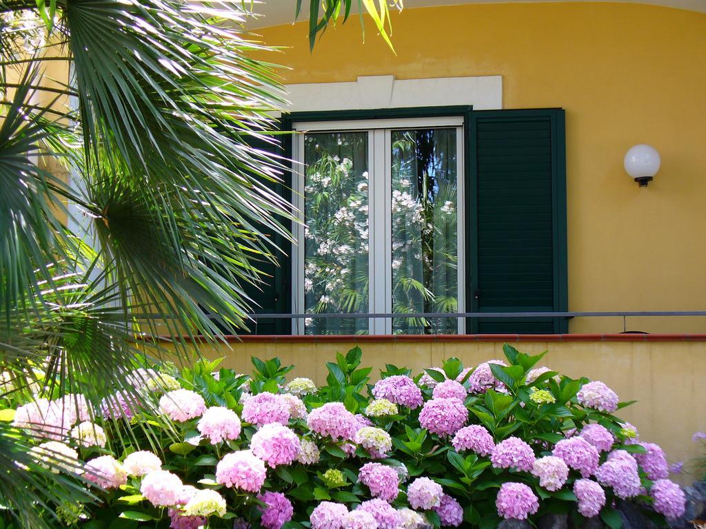 Hotel La Marticana Ischia Exteriör bild