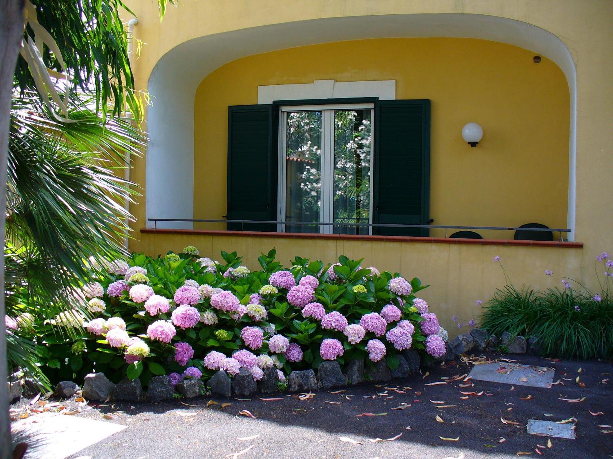 Hotel La Marticana Ischia Exteriör bild