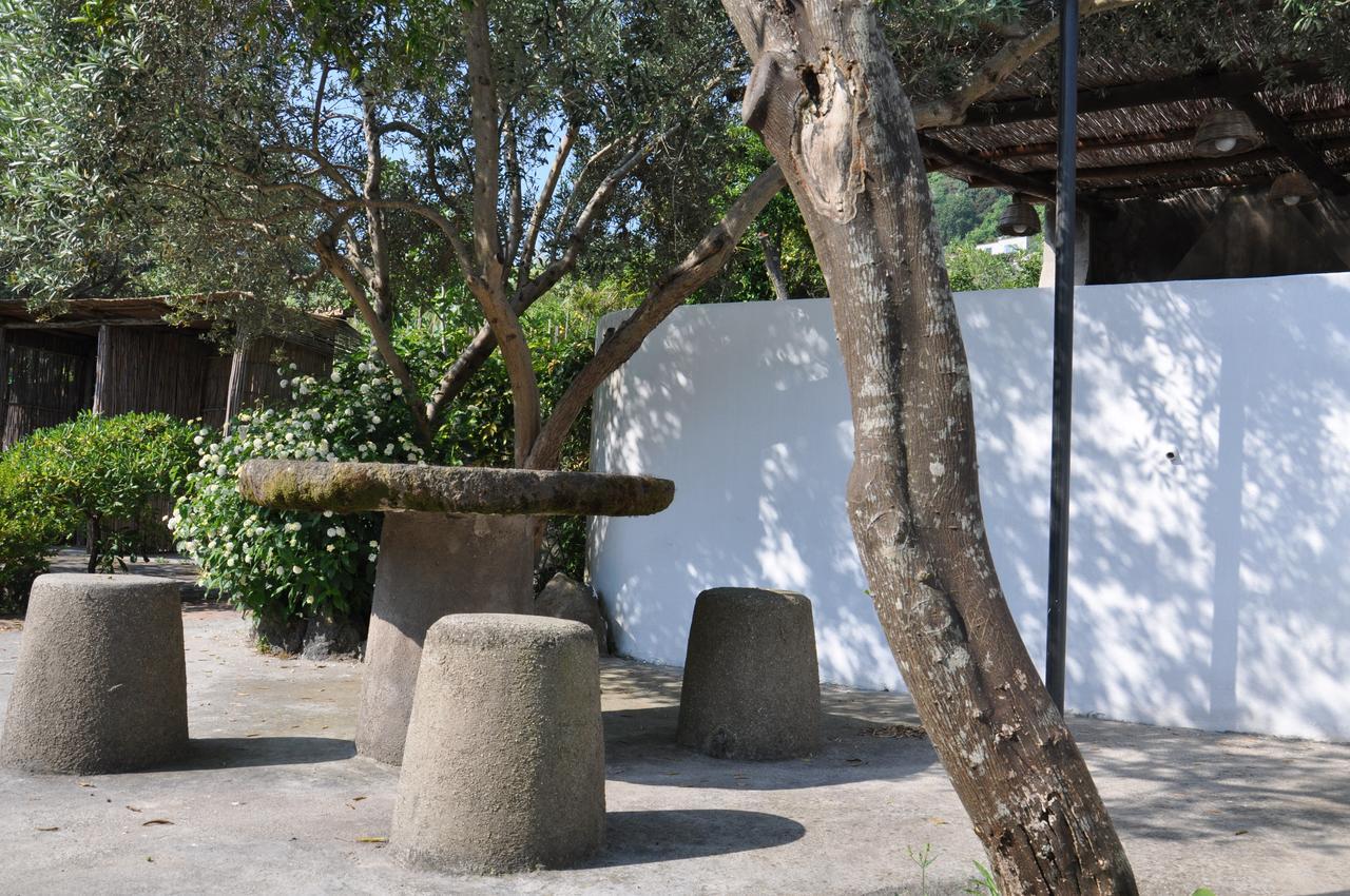 Hotel La Marticana Ischia Exteriör bild