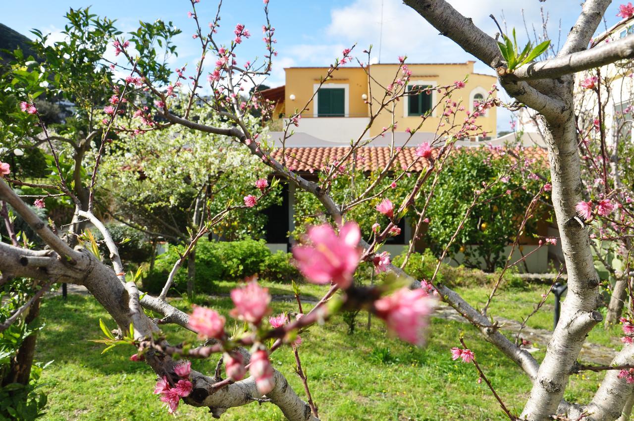 Hotel La Marticana Ischia Exteriör bild